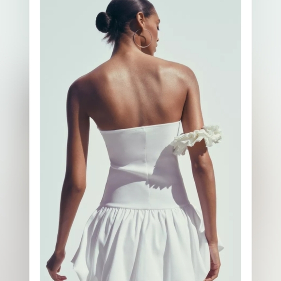 Zara Balloon Skirt Dress - Picture 2 of 6